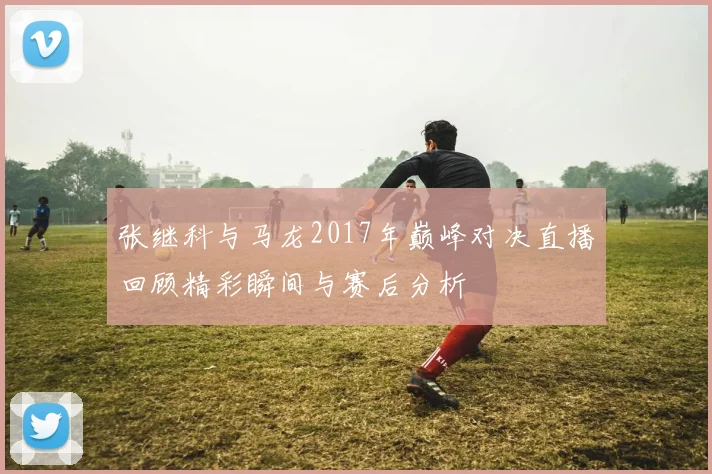 张继科与马龙2017年巅峰对决直播回顾精彩瞬间与赛后分析